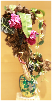 ~̓AWg Bonsai tree arrangement