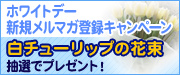 ホワイトデーお花プレゼントキャンペーン