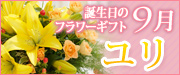 9月の誕生日花「ユリ」