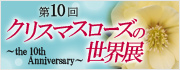 第10回クリスマスローズの世界展