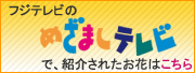 めざましテレビで紹介されたお花はこちら