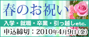 春のお祝い特集