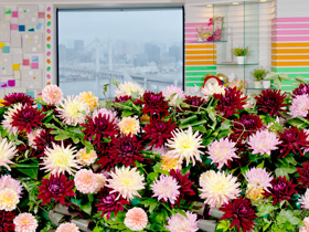 お花