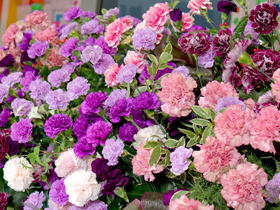 お花