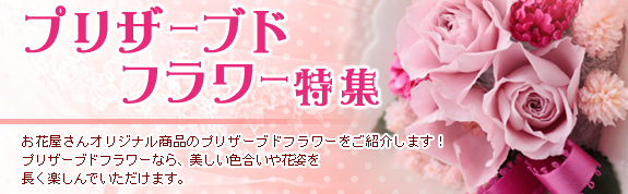 プリザーブドフラワー特集