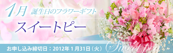 「1月の誕生花　スイートピー」特集
