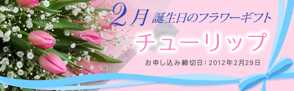 「2月の誕生花　チューリップ」特集
