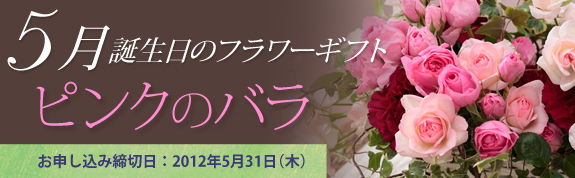5月の誕生日花はピンクのバラ