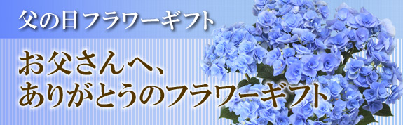 父の日のフラワーギフト
