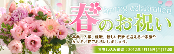 春のお祝い特集