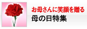 母の日特集