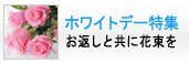 ホワイトデー特集