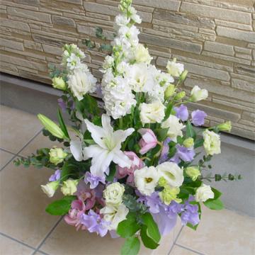 �J�T�u�����J�Ɨ��̂������A�����W�����g�^�n�c��