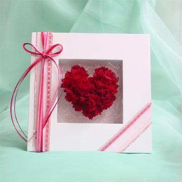 �v���U�[�u�h�t�����[�M�t�g�w�n�[�g�x�^�n�c��
