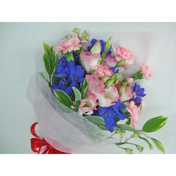 �v���e�B�[�u�[�P�^�n�c��