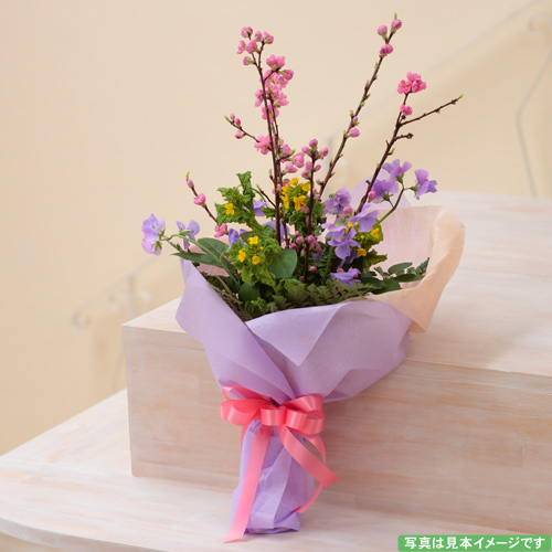 商品写真1