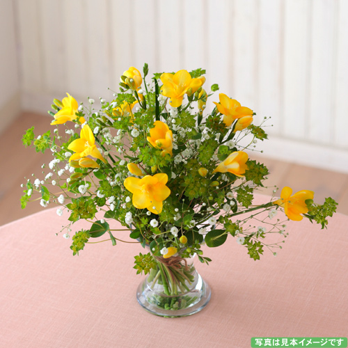 商品写真1