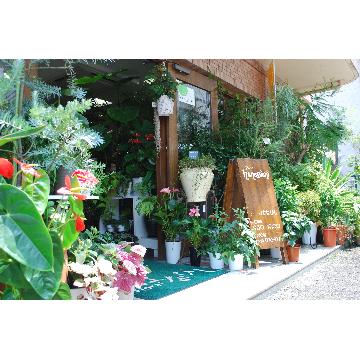 お花屋さん店舗画像