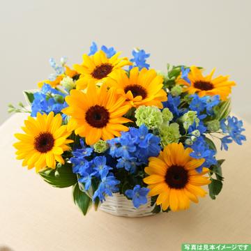 『父の日』ひまわりとデルフィニュウムのアレンジメント 通販