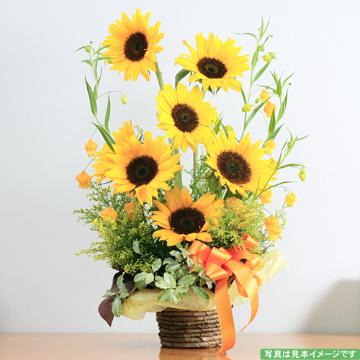 『父の日』ヒマワリの元気なアレンジメント 通販