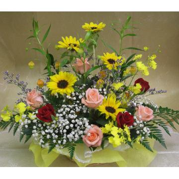 明るく元気の出るアレンジ 通販