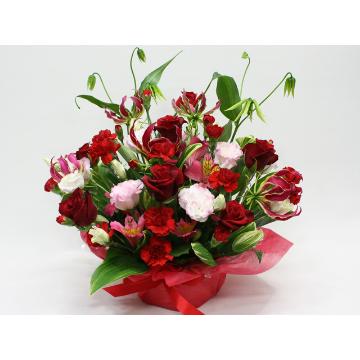 赤バラとグロリオサのアレンジメント 通販