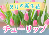 2月の誕生日花　チューリップ