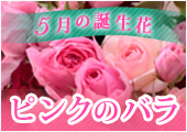 ピンクのバラ