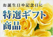 特選ギフト