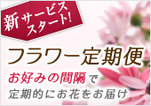 フラワー定期便