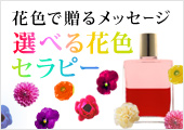 花色で贈るメッセージ　選べる花色セラピー