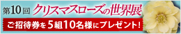 第10回クリスマスローズの世界展ご招待券プレゼント