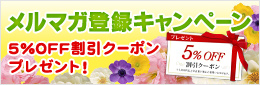 春のメルマガ登録キャンペーン