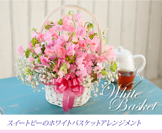 �����̃z���C�g�o�X�P�b�g�A�����W�����g