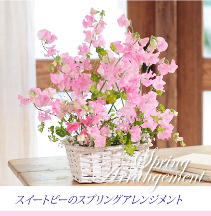 �X�C�[�g�s�[�̃X�v�����O�A�����W�����g