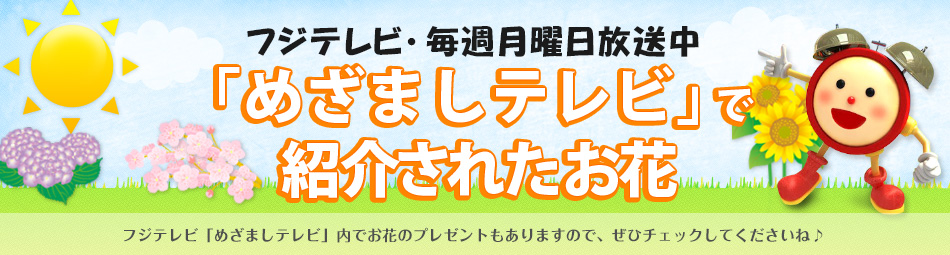 めざましテレビで紹介されたお花情報
