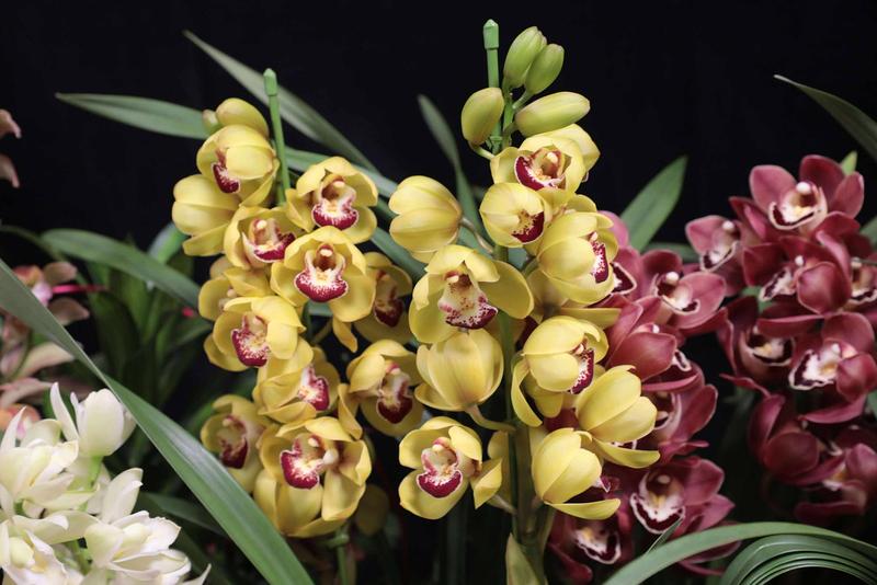 テーブルシンビ_20251209 (14).jpg