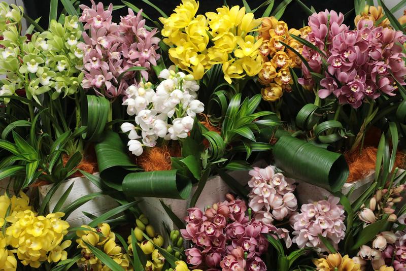 テーブルシンビ_20251209 (4).jpg