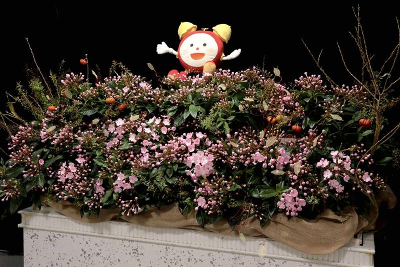 におい桜COCO メイン右振り.jpg