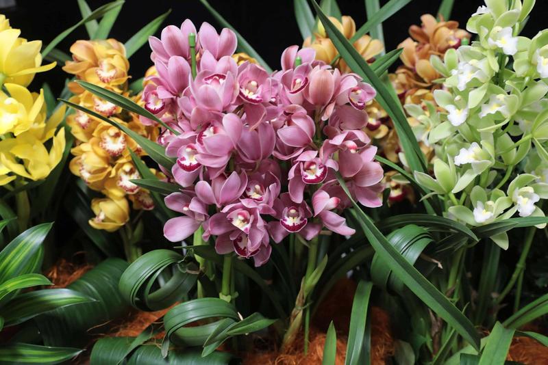 テーブルシンビ_20251209 (17).jpg