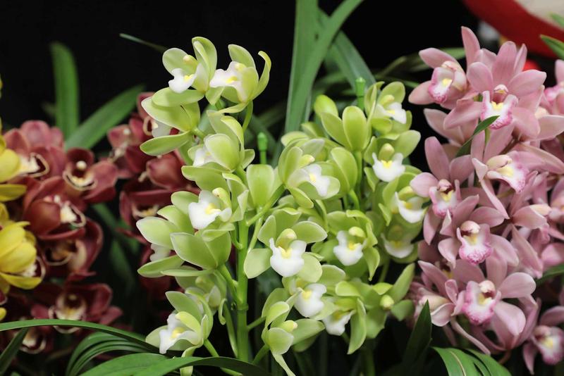 テーブルシンビ_20251209 (6).jpg