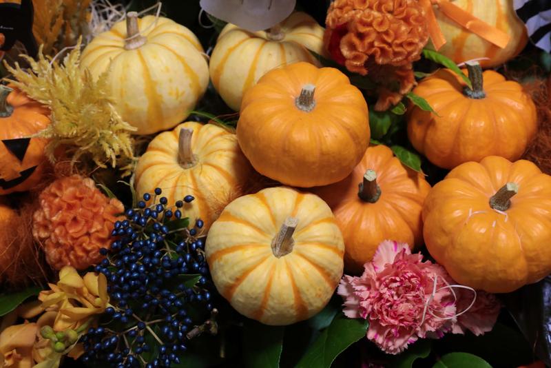 ハロウィンカボチャ (17).jpg