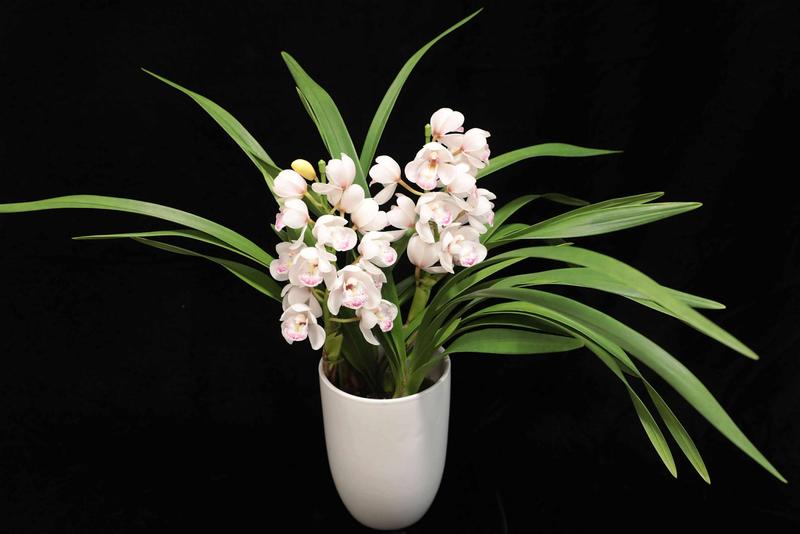 テーブルシンビ_20251209 (18).jpg