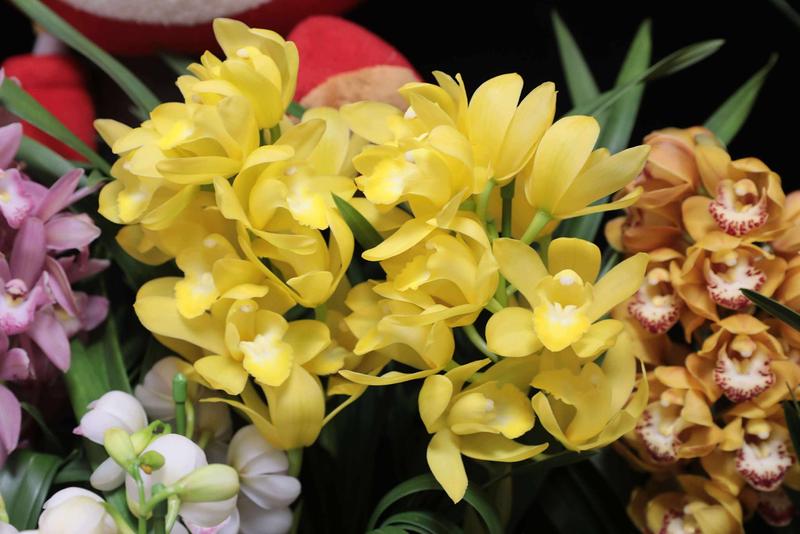 テーブルシンビ_20251209 (8).jpg