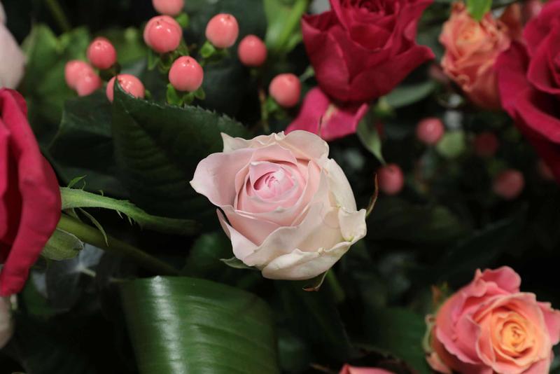 花アップ (6).jpg