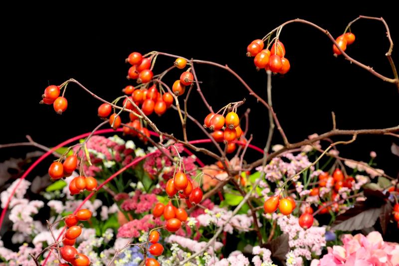 北海道の花_260907 (9).jpg