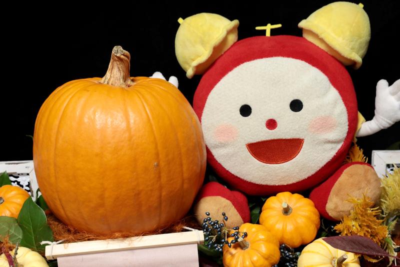 ハロウィンカボチャ (3).jpg