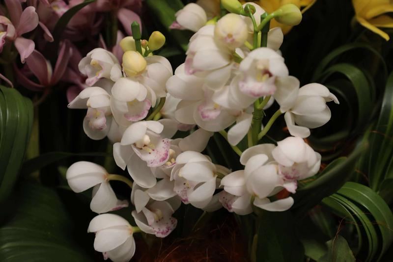 テーブルシンビ_20251209 (15).jpg