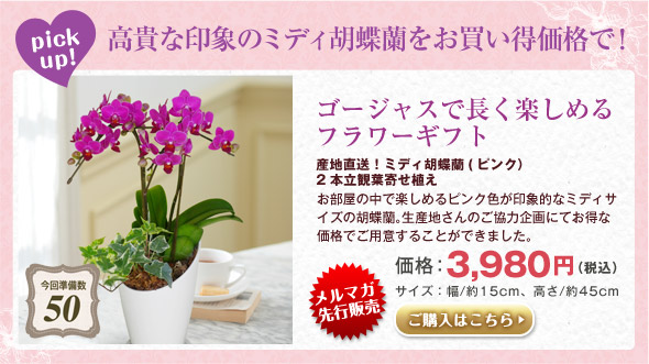 pick up! ̌Ӓ荠i!@w͂