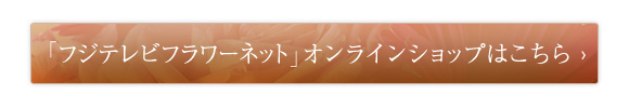 tWert[lbgEICVbv